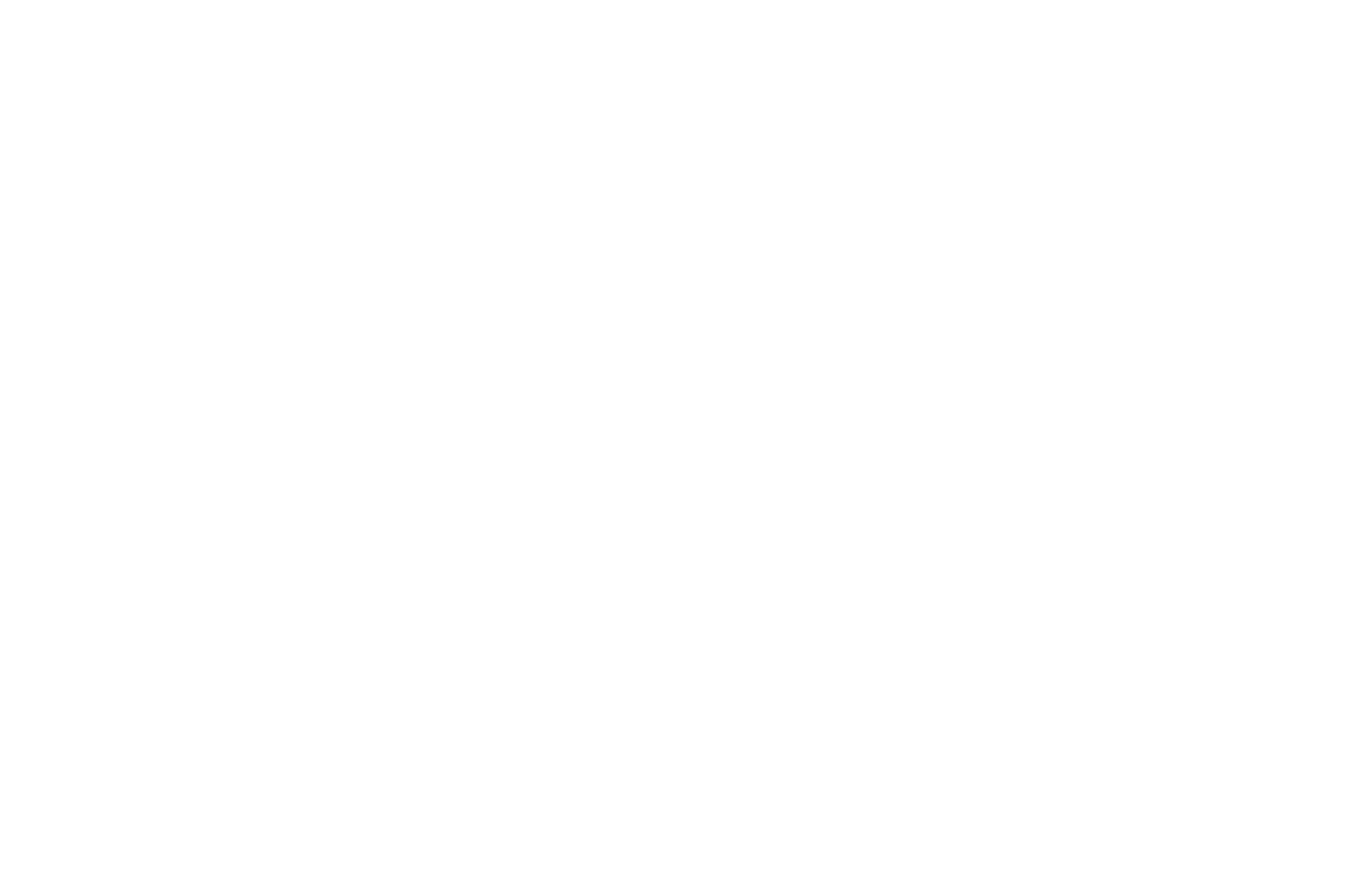 Logo Audi
