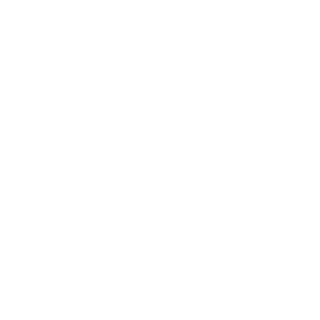 Logo Geely