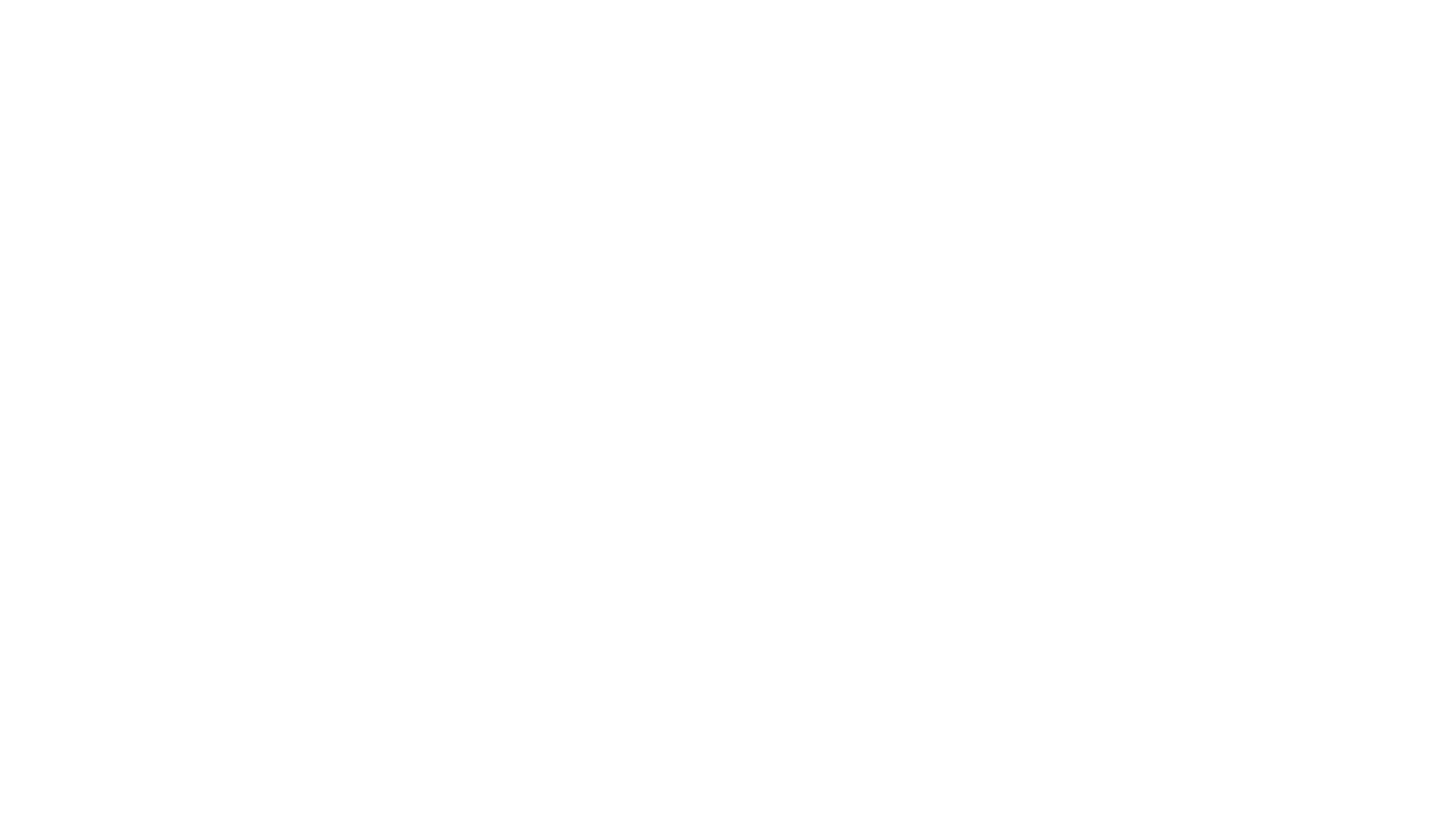 Logo Mini