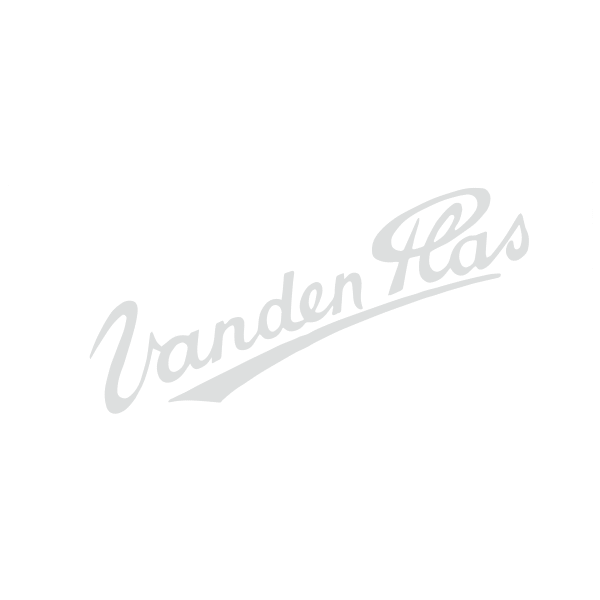 Logo Vanden Plas