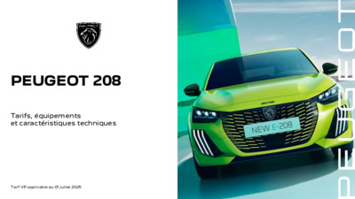 BR208PEUGEOT20232507