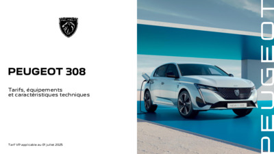BR308PEUGEOT20212507