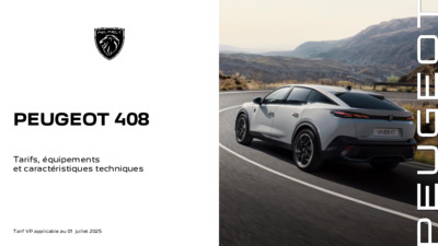 BR408PEUGEOT20222507