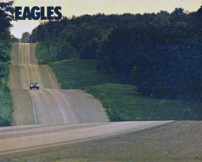 AMC Eagle