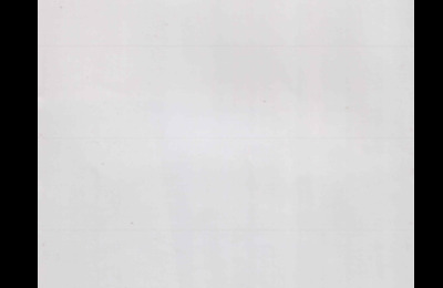 BRAUDICOUPE19858410ANG