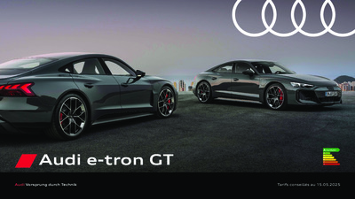 BRAUDIETRONGT20242505