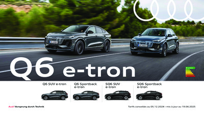 BRAUDIQ6ETRON20232506