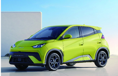 BRBYDDOLPHINSURF20232509