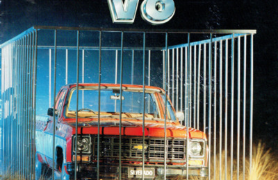 BRCHEVROLETGAMMEPICKUPAU197910