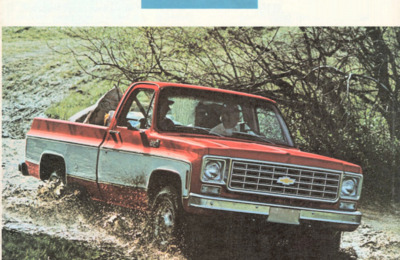 BRCHEVROLETGAMMEPICKUPUS197509