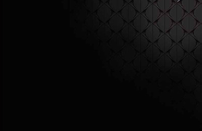 BRDSAUTODS5ZA20111304