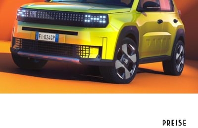 BRFIATGRANDEPANDAAT20242502