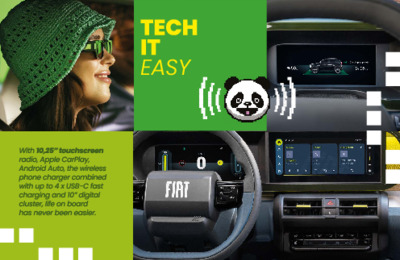 BRFIATGRANDEPANDAINT20242501