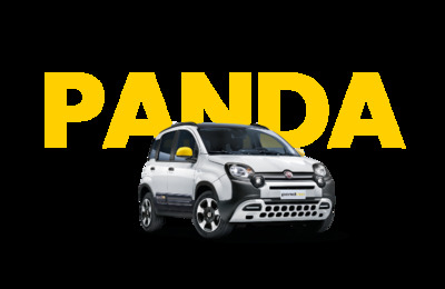 BRFIATPANDA20122502