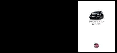 BRFIATPUNTOIT20090911