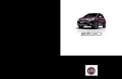 BRFIATSEDICIDE20091112