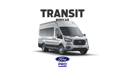 Ford Transit Minibus