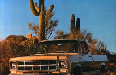 BRGMCGAMMEPICKUPUS19747801