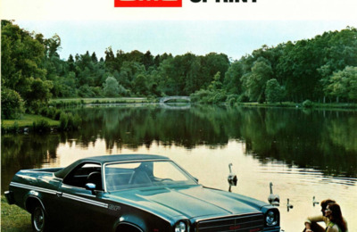 BRGMCSPRINTUS19717308