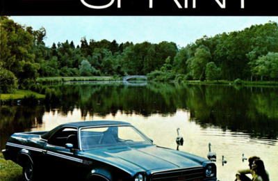 BRGMCSPRINTUS19717308V2