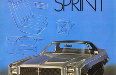 BRGMCSPRINTUS19717508