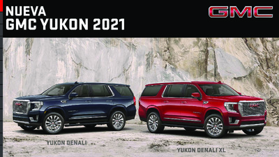 BRGMCYUKONMX20202101