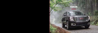 BRGMCYUKONUS20141801