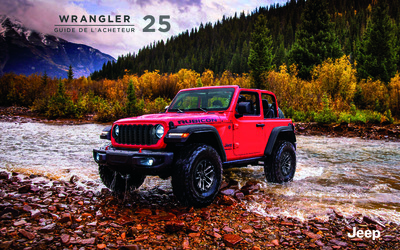 BRJEEPWRANGLER201825AM