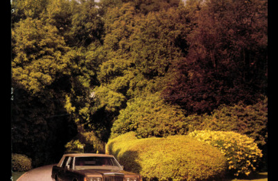 BRLINCOLNTOWNCARUS19818508