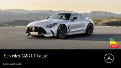 BRMERCEDESAMGGT20232503