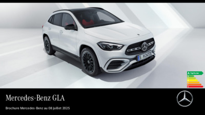 BRMERCEDESCLASSEGLA20202507