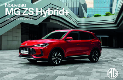 BRMGZSHYBRID20242510