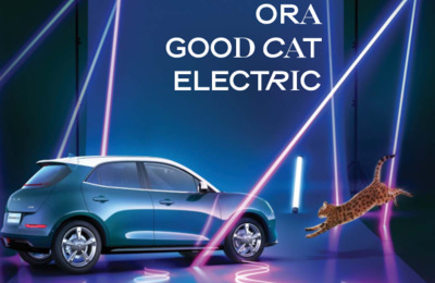 BRORAGOODCAT202024SG