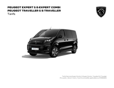 Peugeot Traveller
