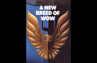 BRPONTIACFIREBIRDUS19797901