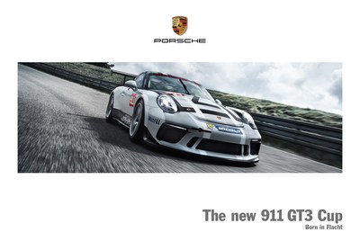 Porsche 911 GT3cup