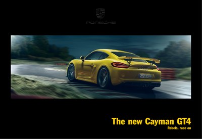 Porsche Cayman GT4 2