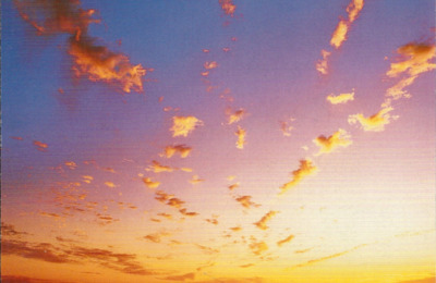 BRRENAULTCLIOUK19949508WILLIAMS