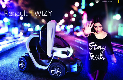 BRRENAULTTWIZYDE20111703