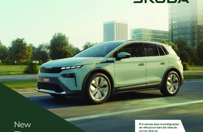 BRSKODAELROQ20242503