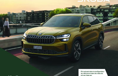 BRSKODAKODIAQ20232503