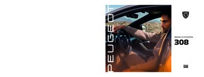 NO308PEUGEOT20252509