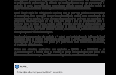 NOBYDDOLPHINSURF202325