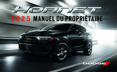 NODODGEHORNET202225V1