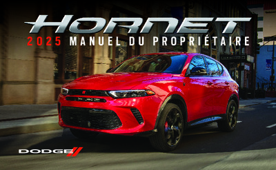 NODODGEHORNET202225V2