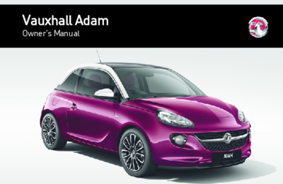 NOVAUXHALLADAM2013201407